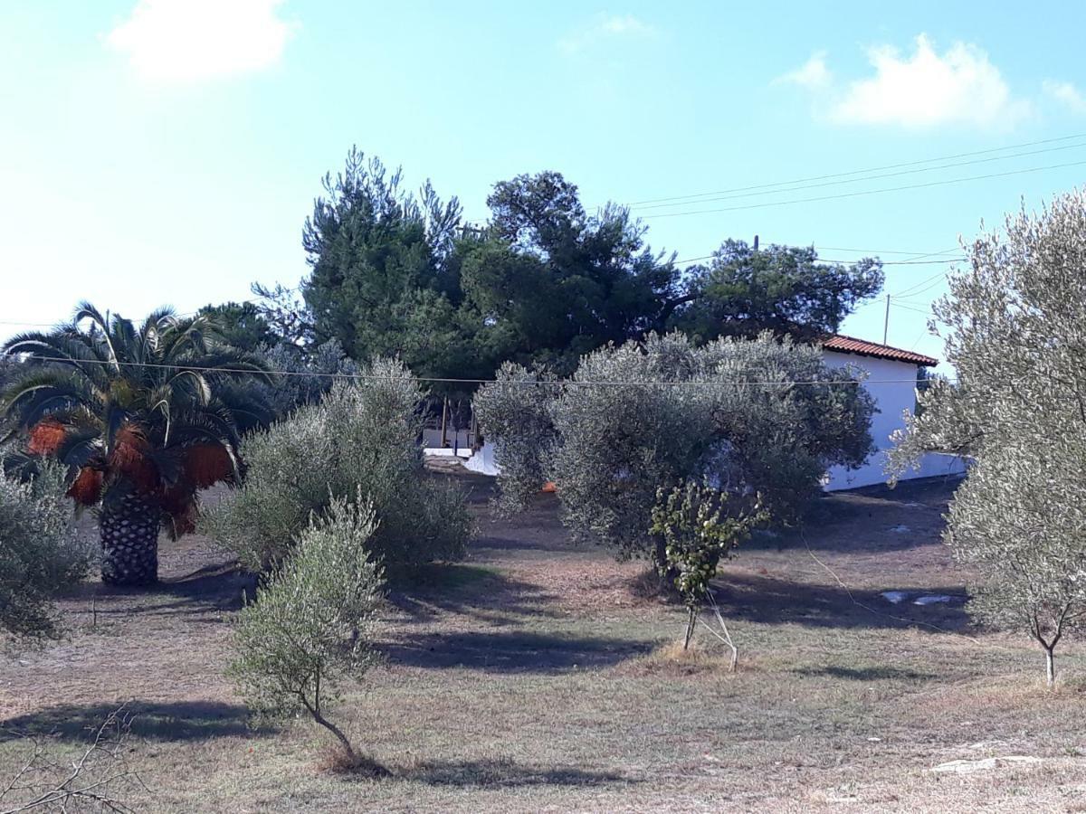 House Lagonisi Ormos Panagias Dış mekan fotoğraf